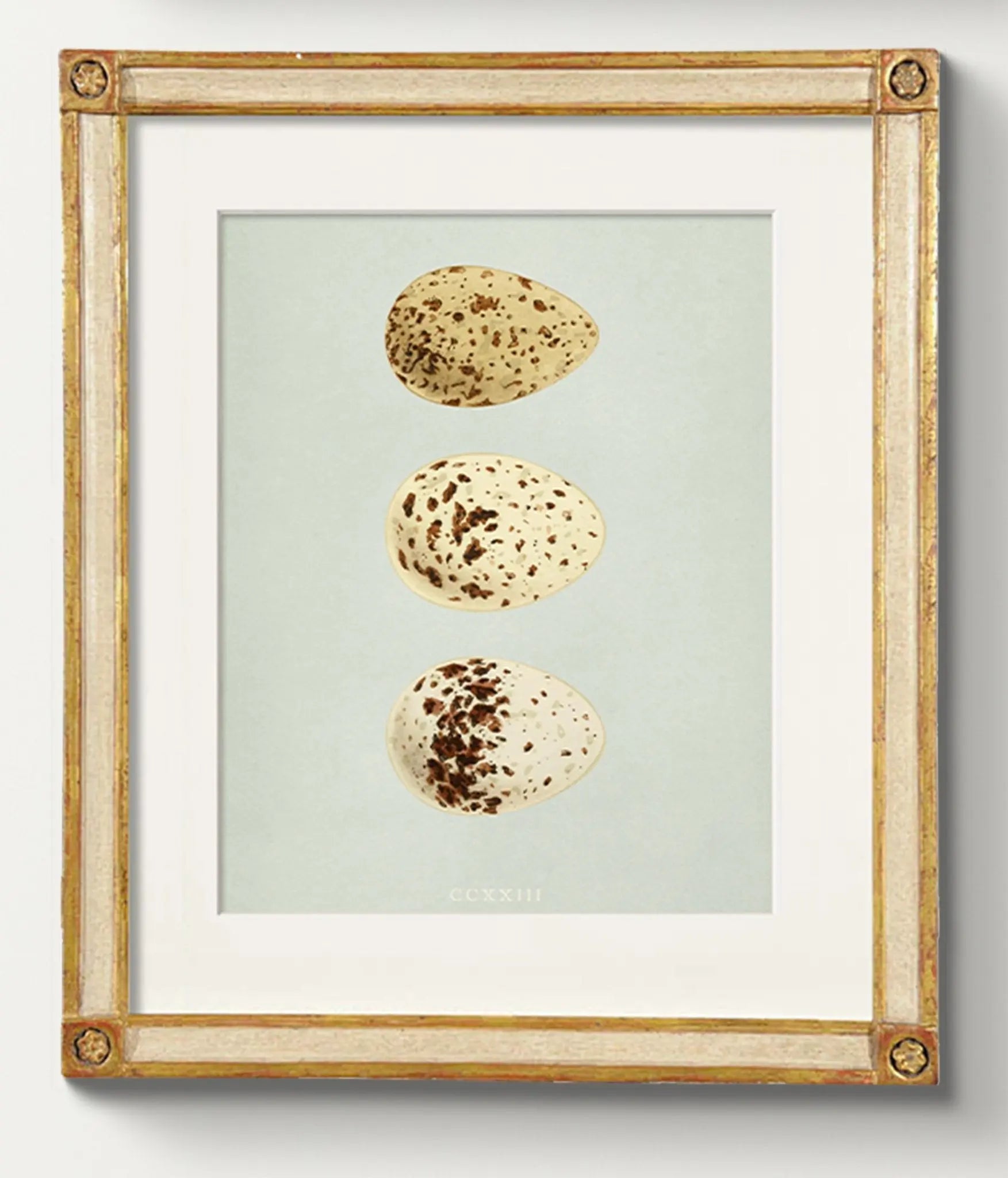 Woodblock Prints: Eggs of British Nesting Birds - Emblem Atelier