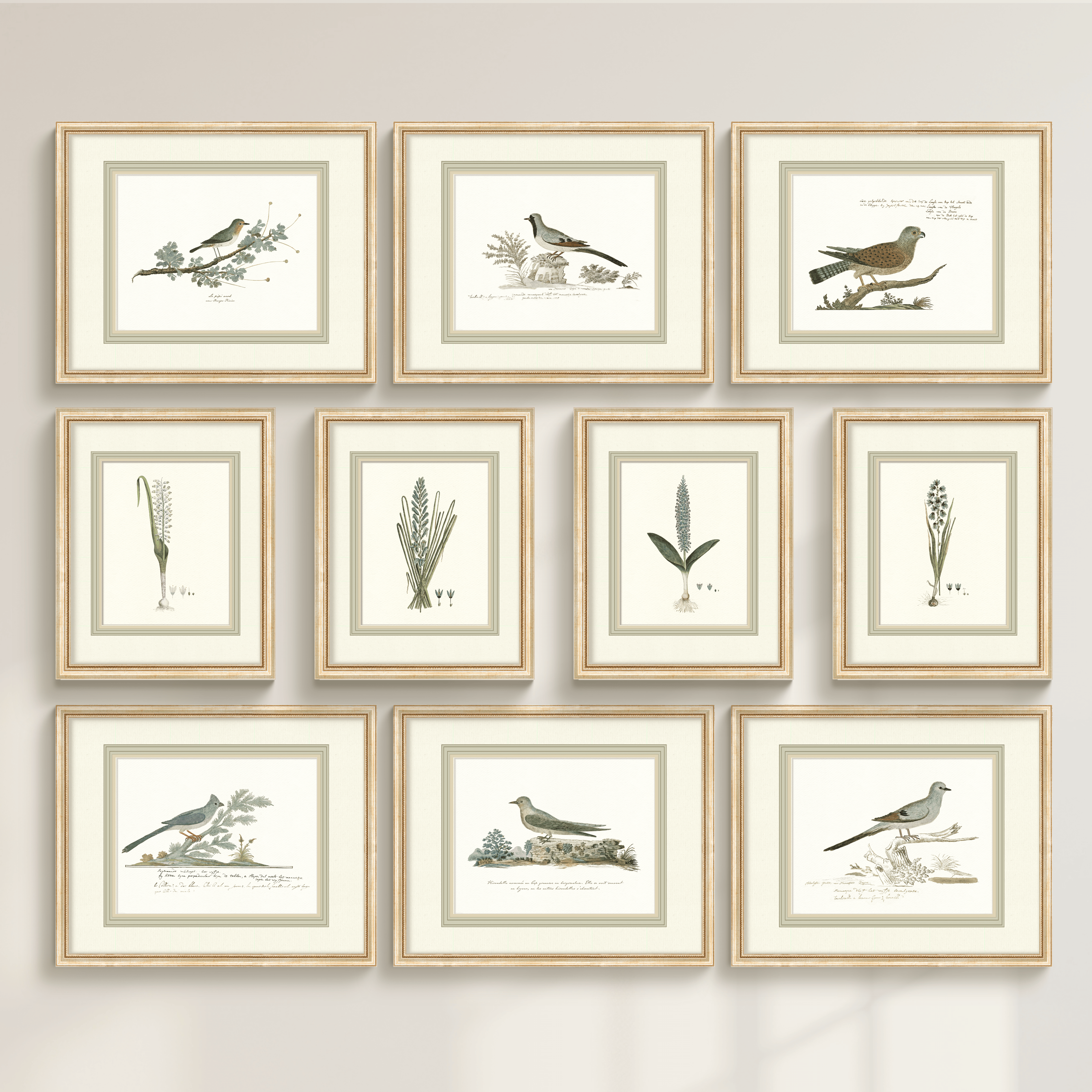 Birds + Botanicals - Curated Set of 4 Birds