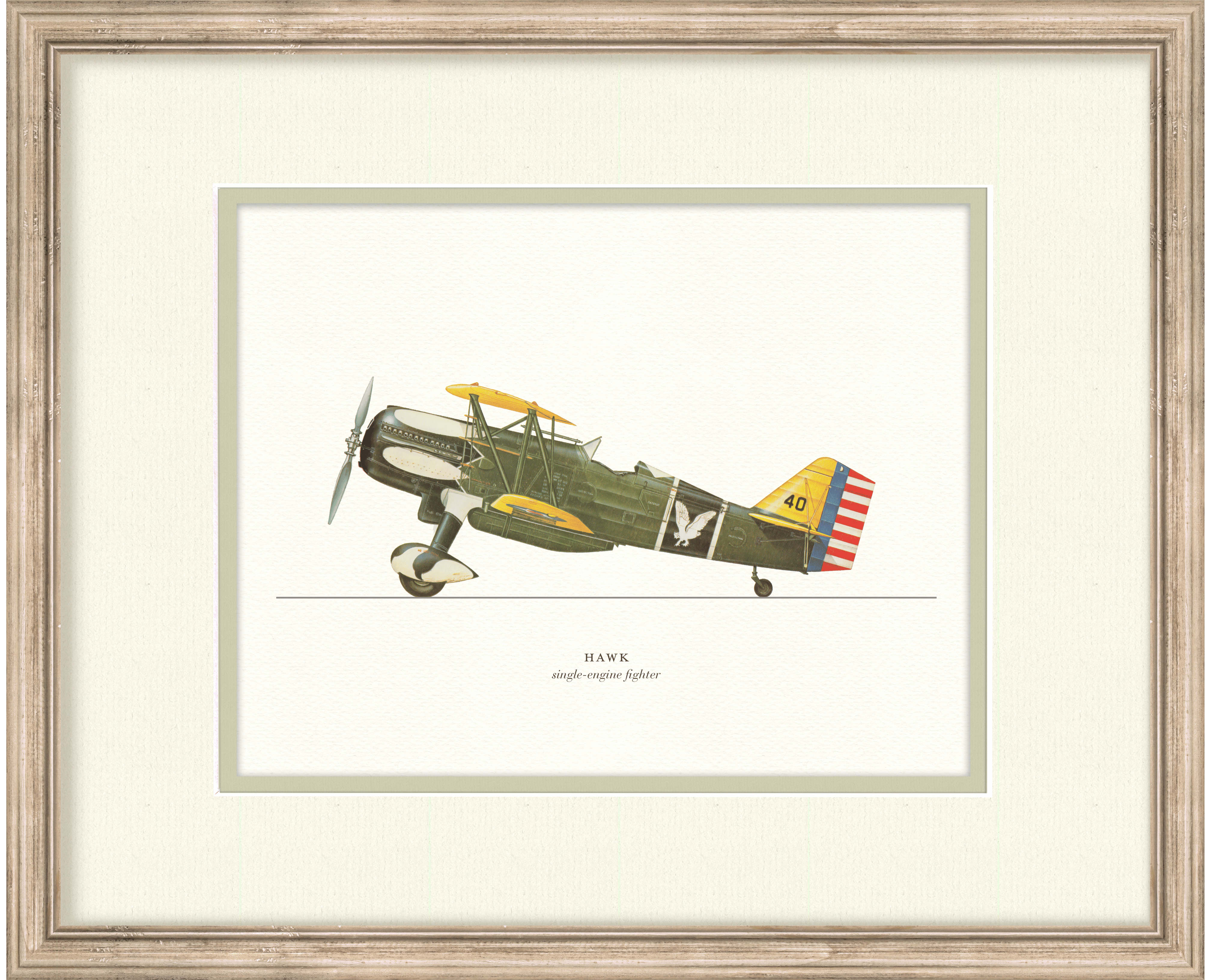 Vintage Airplanes - Hawk