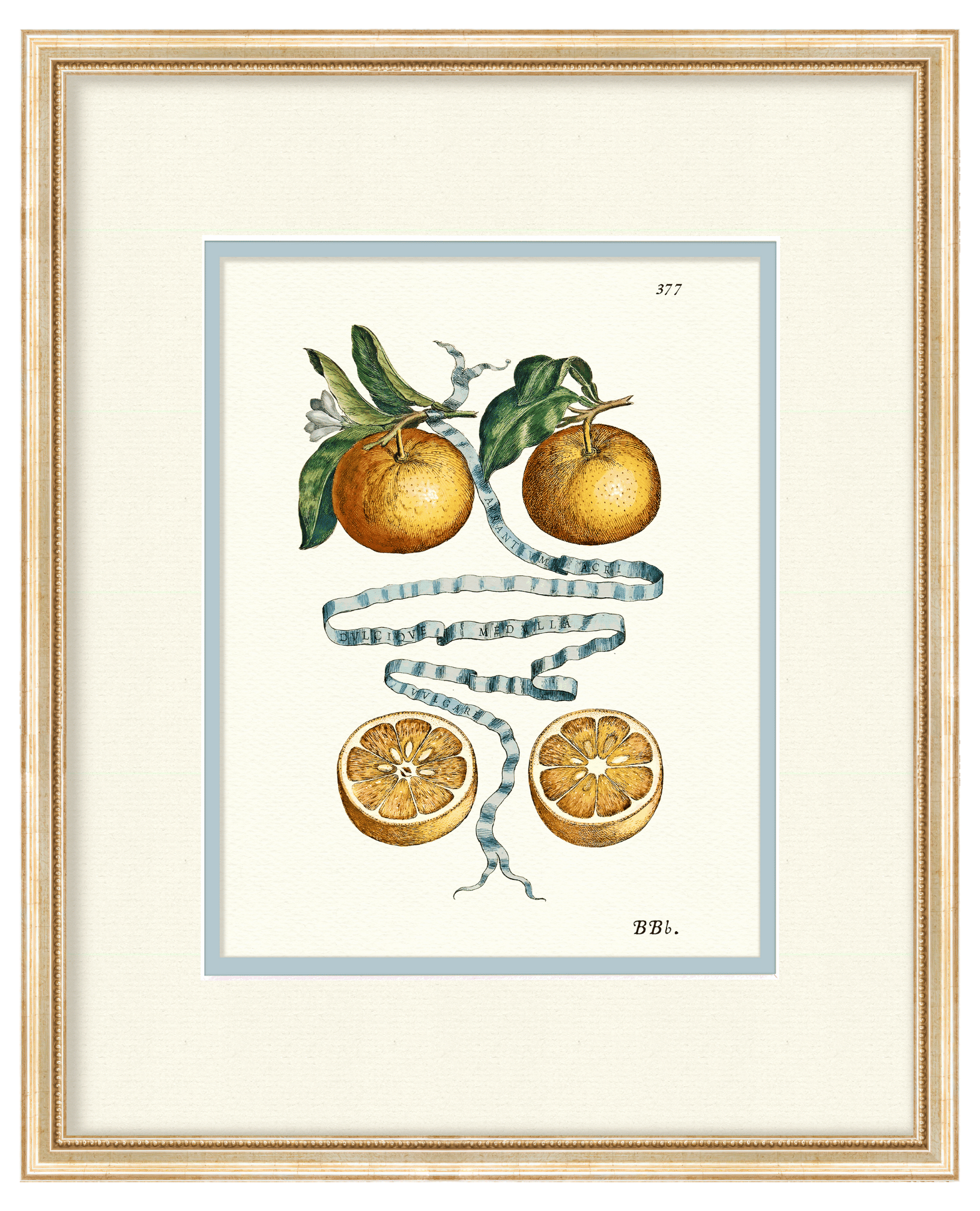 Citrus Botanicals - Oranges No. 377