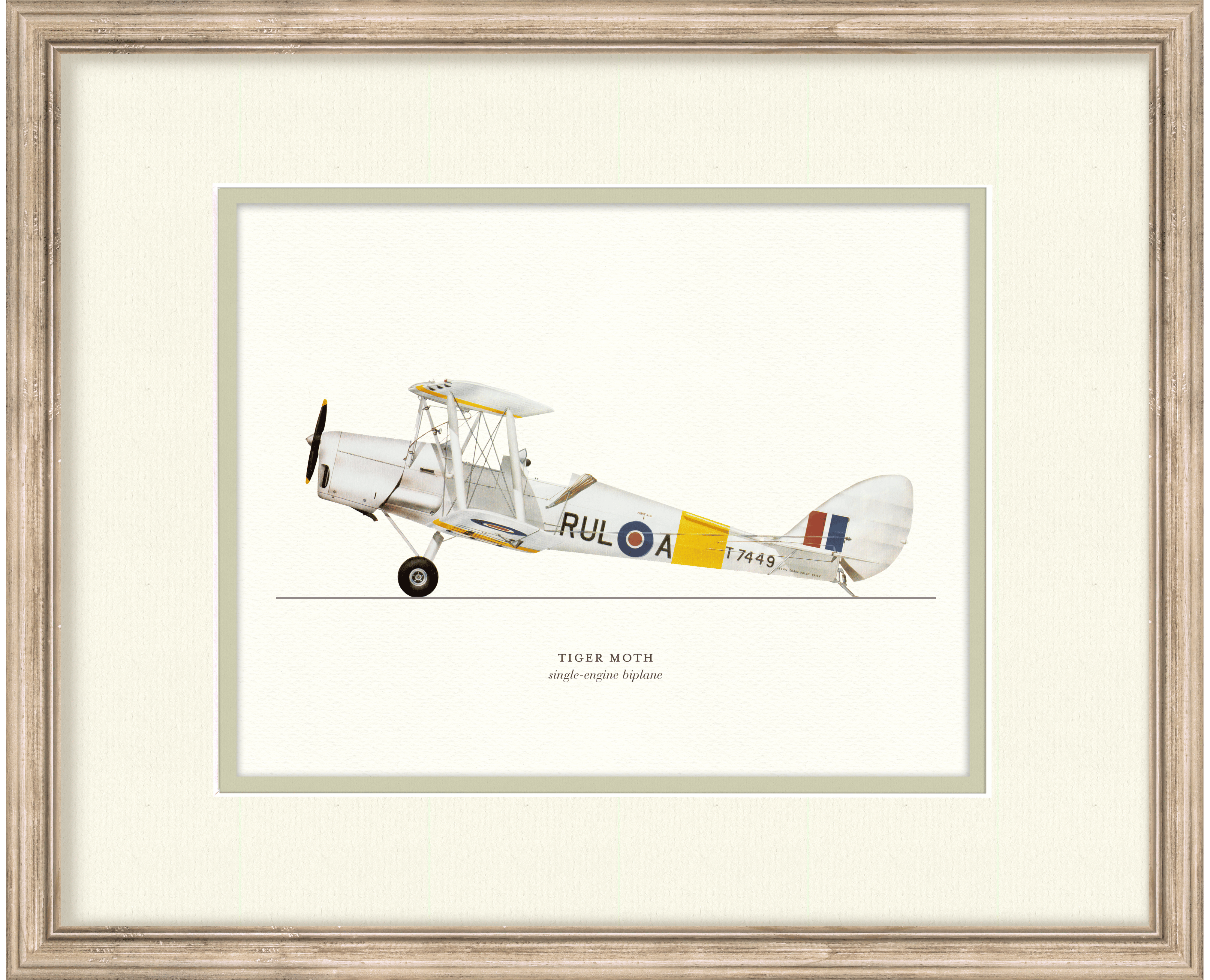 Vintage Airplanes - Tiger Moth