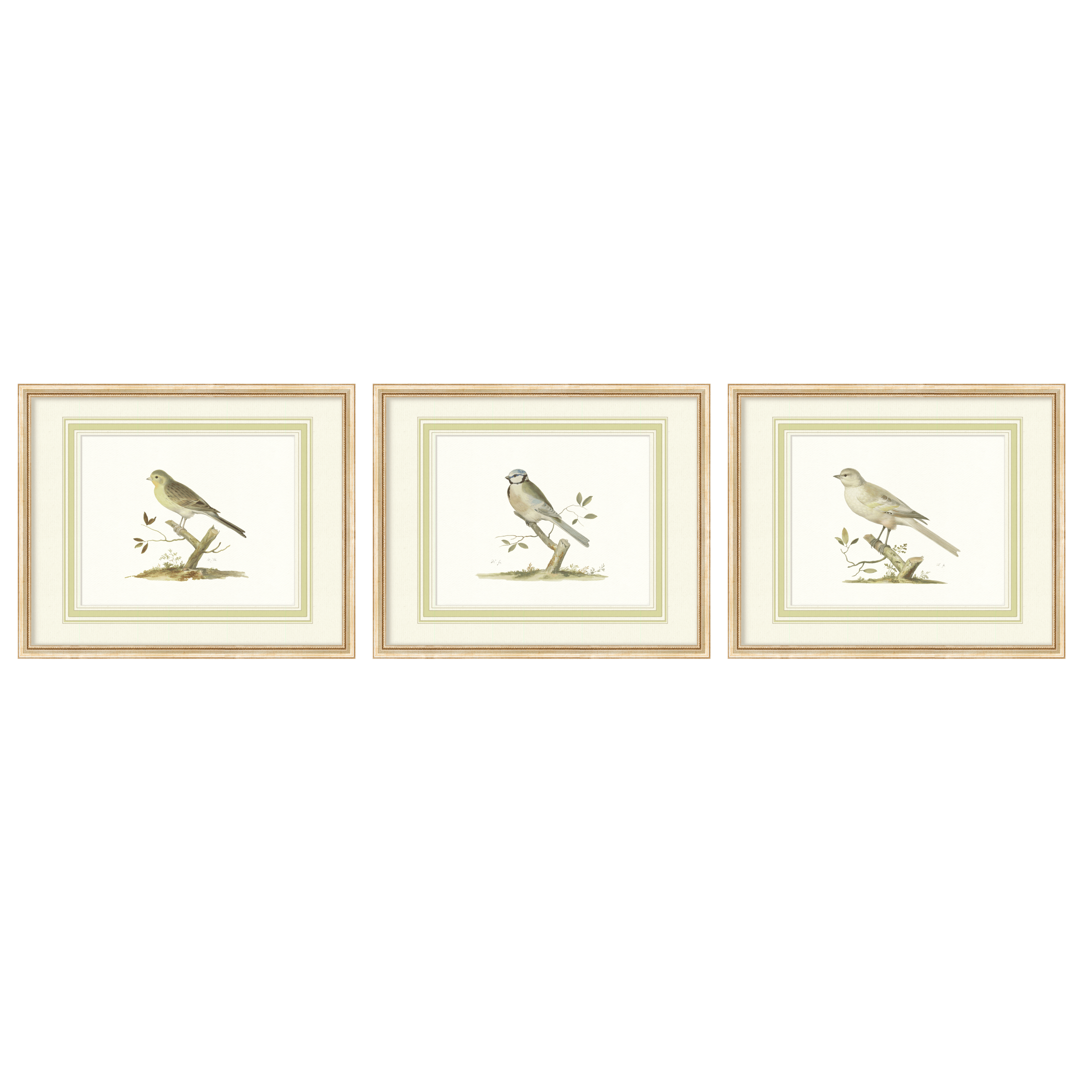 Aviary - Curated Set of 3