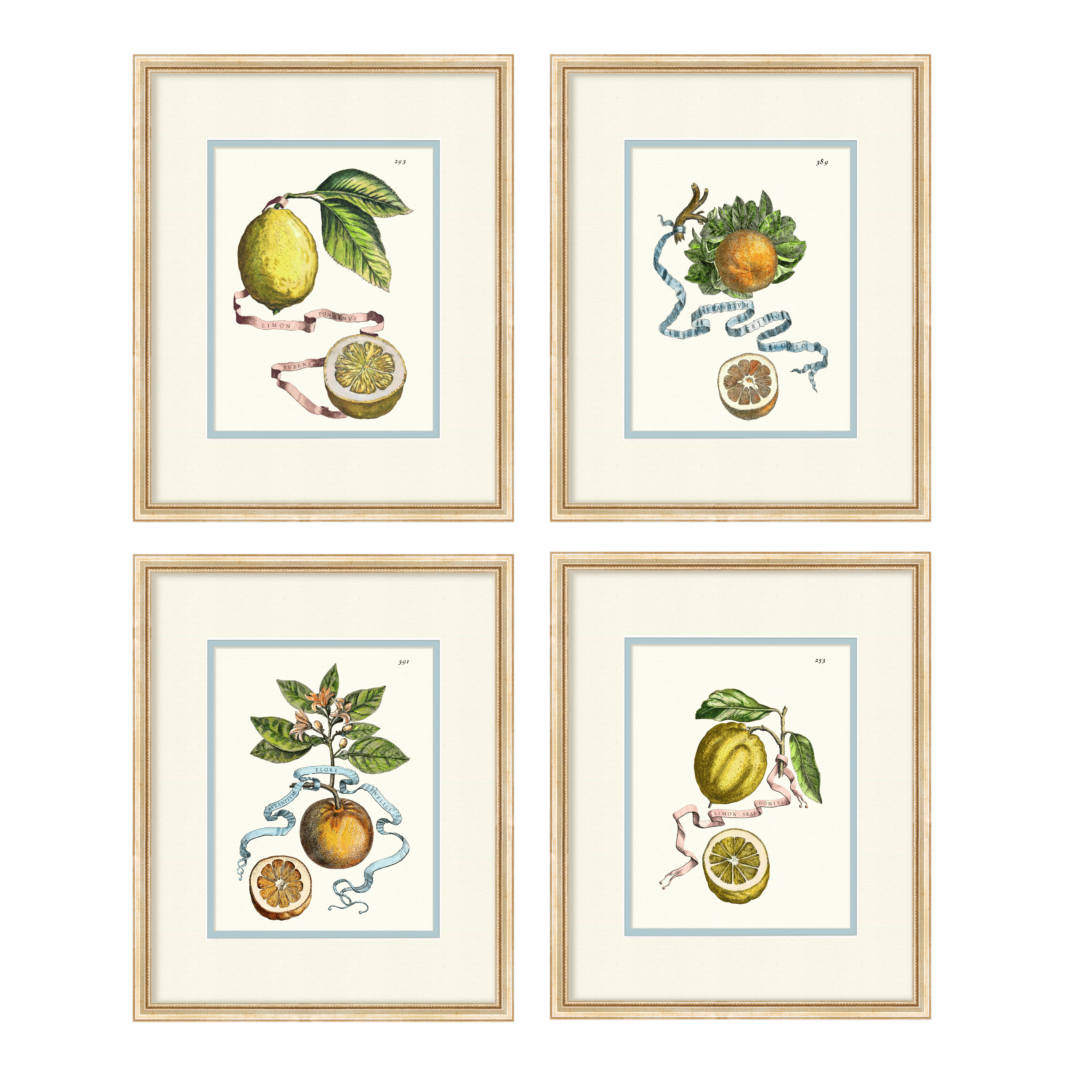 Citrus Botanicals - Curated Set of 4