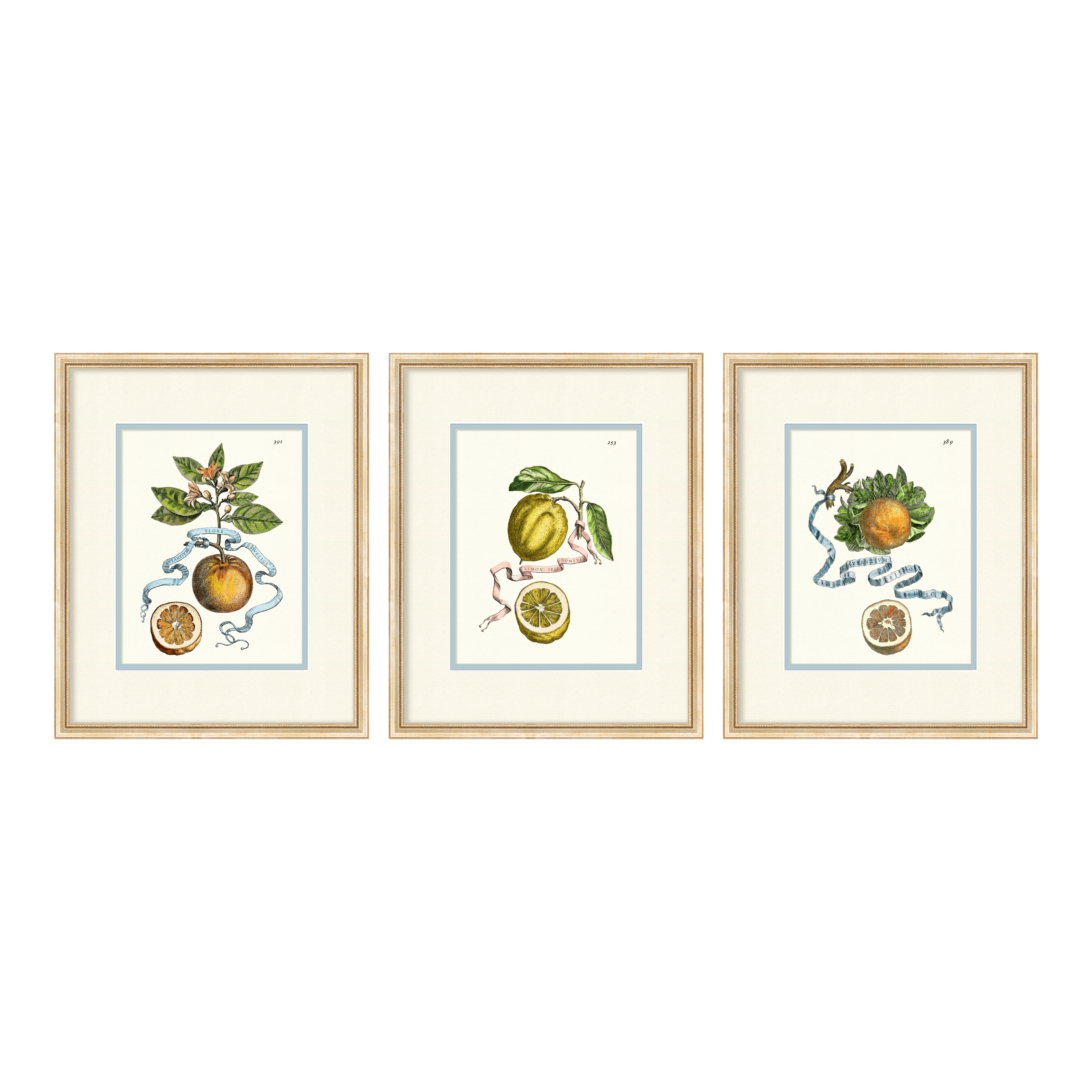 Citrus Botanicals - Curated Set of 3