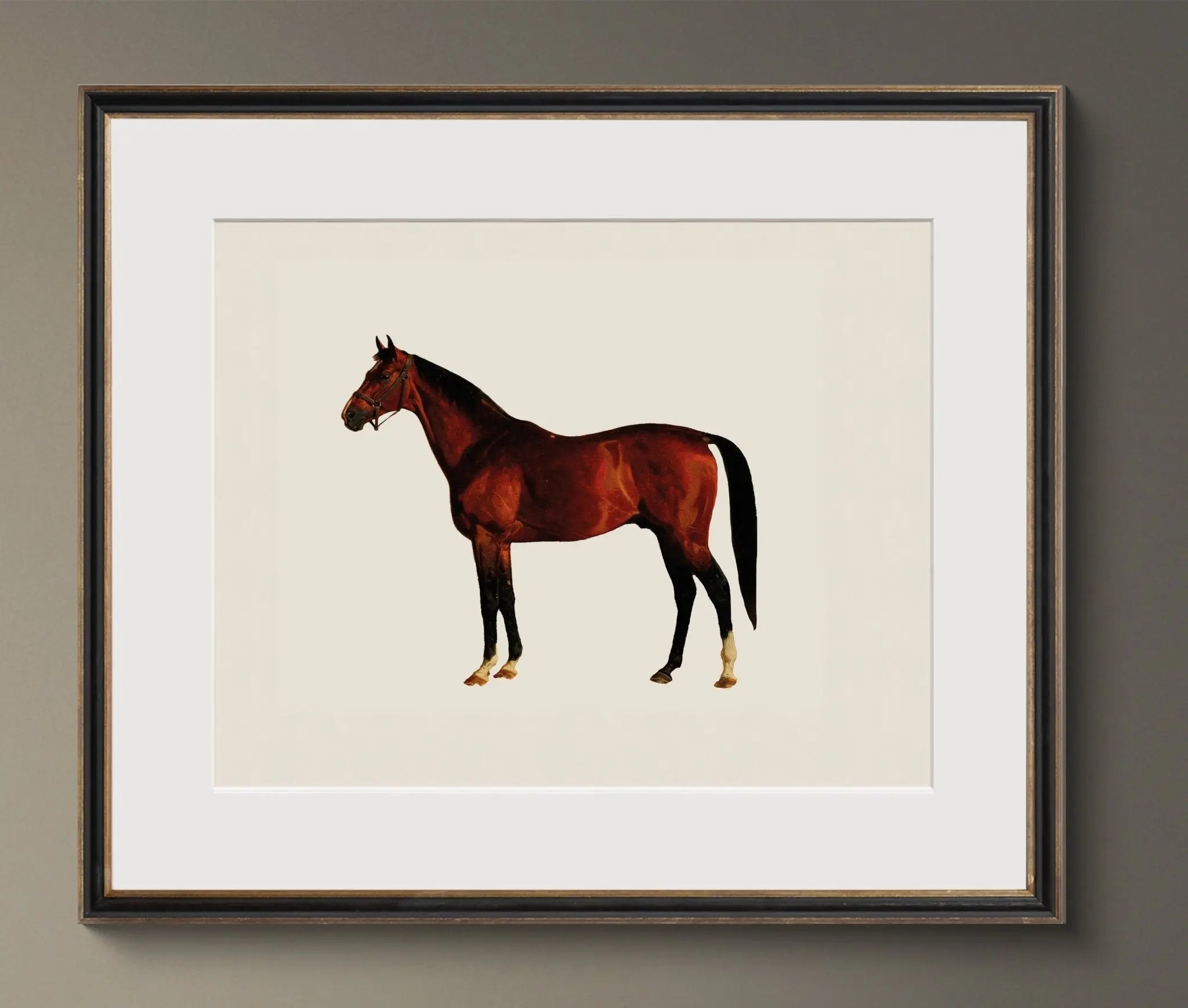 19th c. English Riding Horses - Emblem Atelier