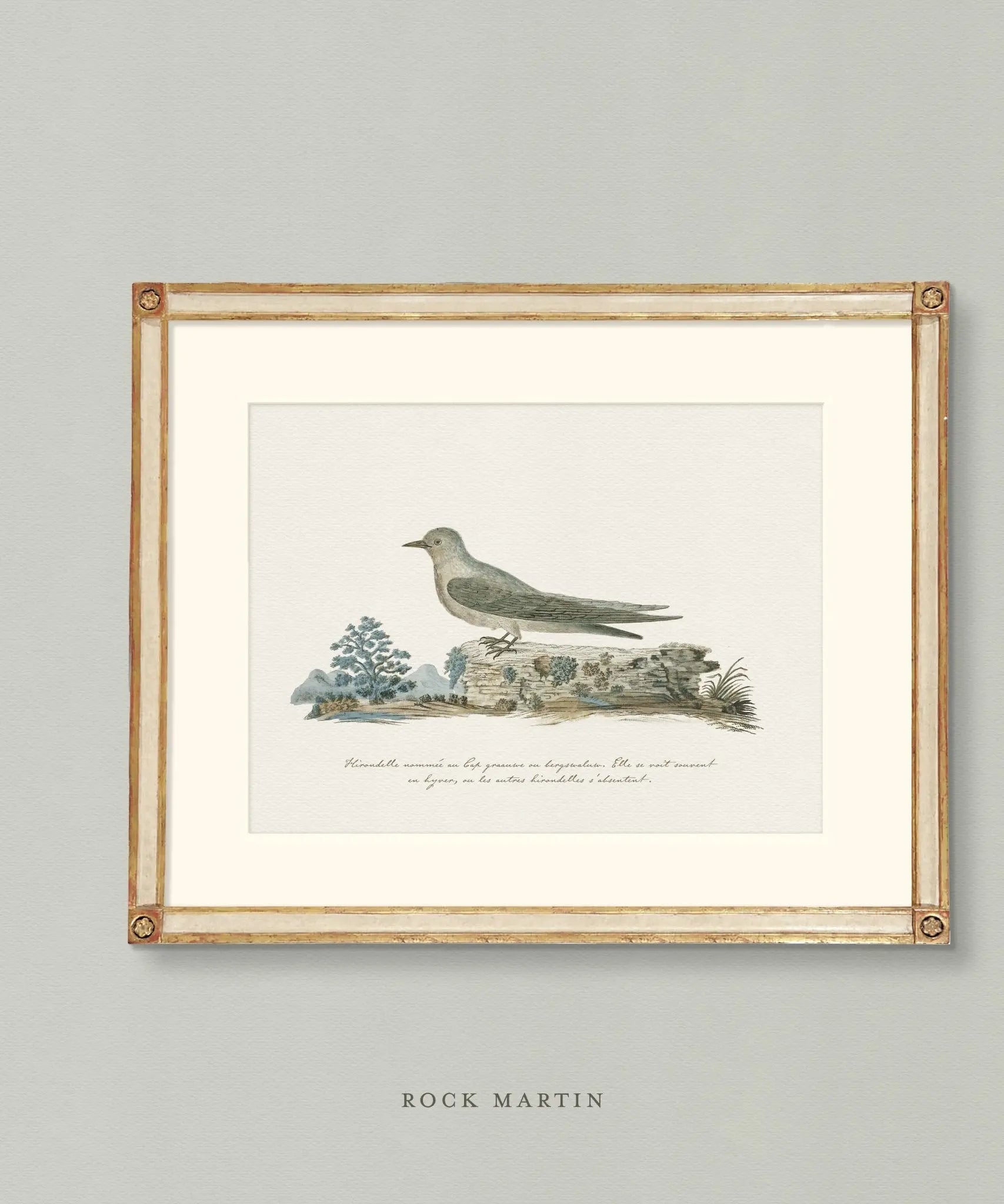 Gallery Series: Botanicals + Birds - Emblem Atelier