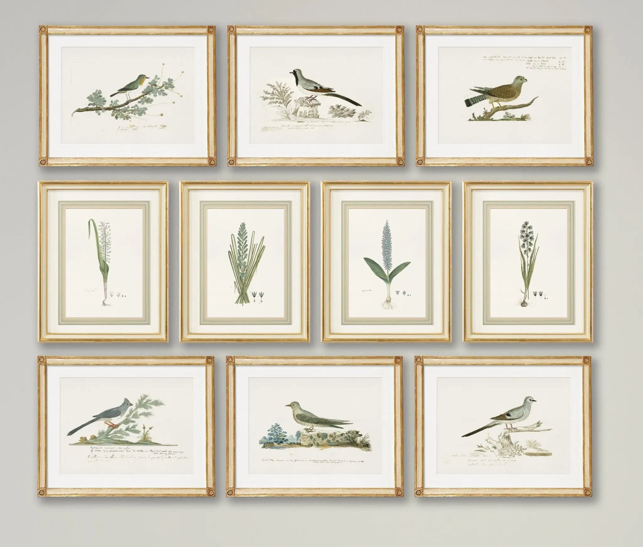 Botanicals and Birds - Watercolor Art Prints