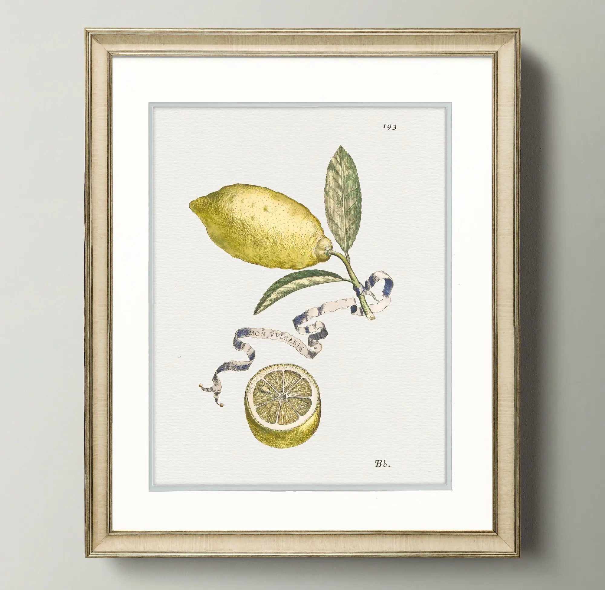 Citrus Botanicals - Lemon - Plate 193