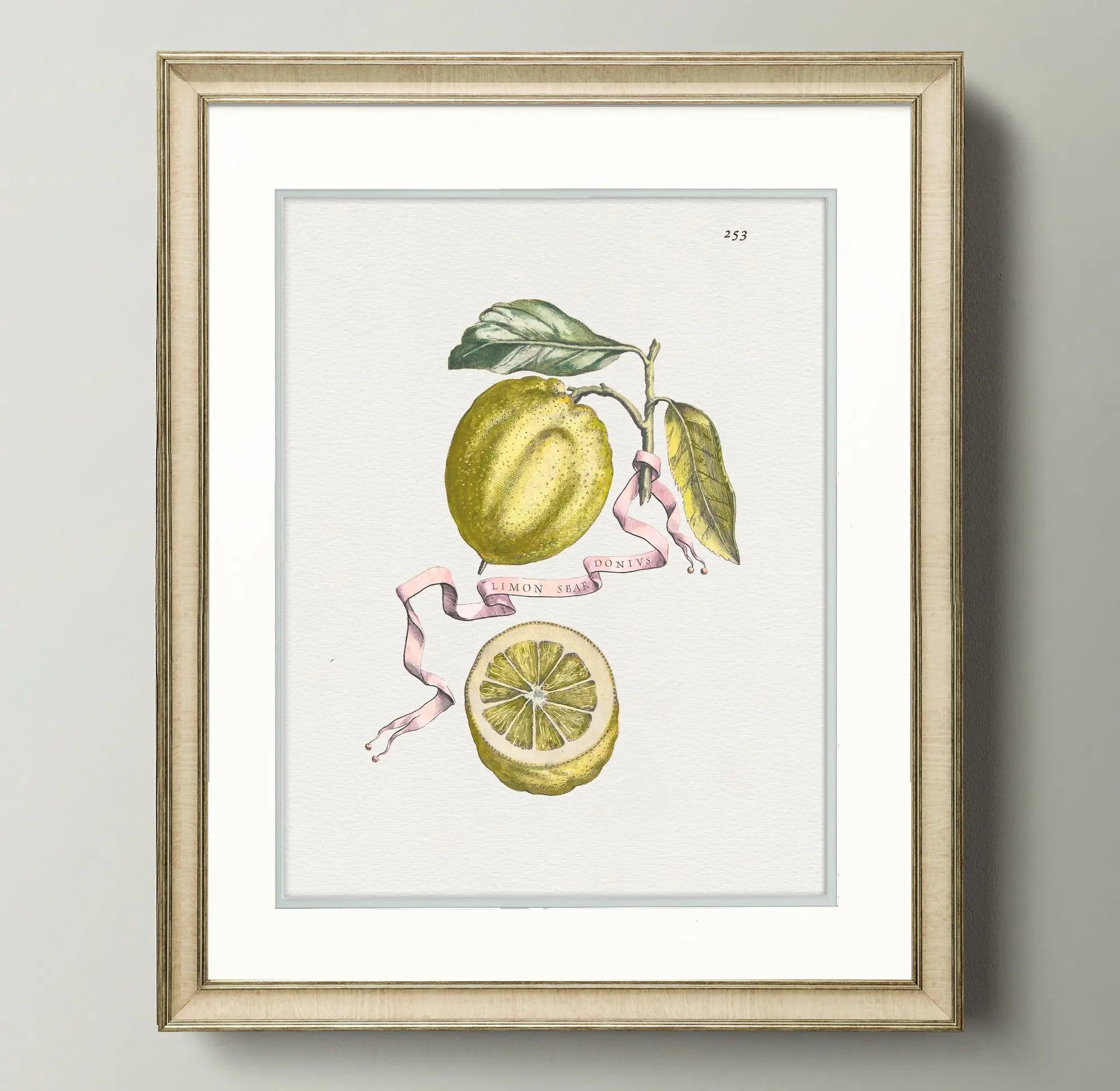 Citrus Botanicals - Lemon - Plate 253