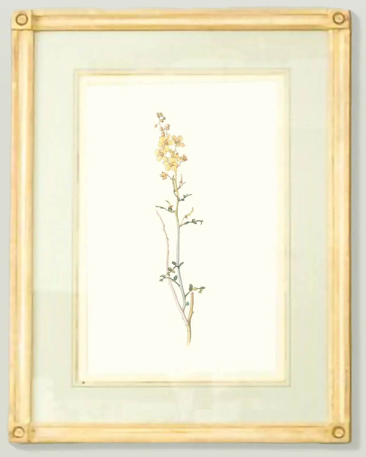 Naturalist Watercolor Illustrations: Wildflower Botanicals, Vol. I - Emblem Atelier