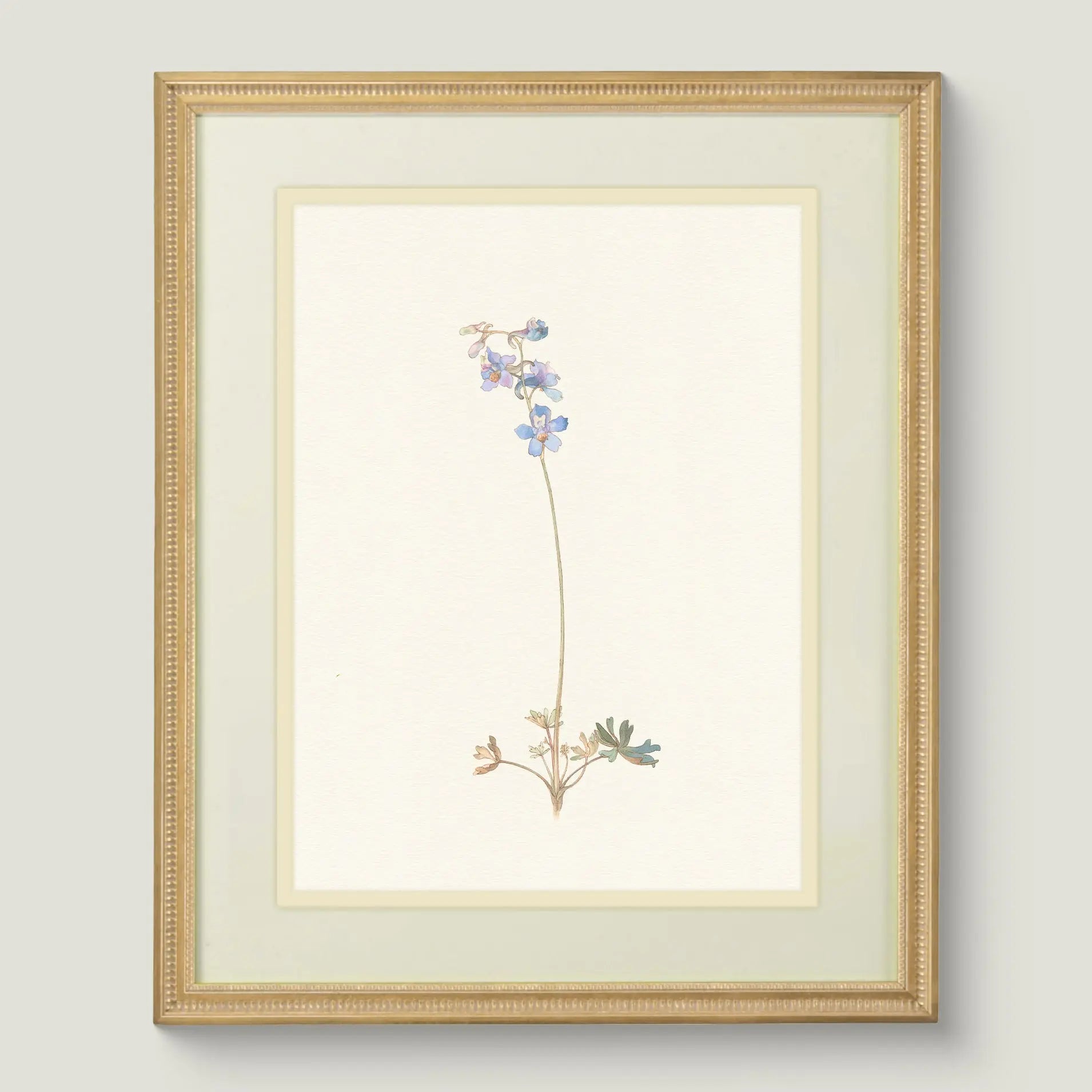 Naturalist Watercolor Illustrations: Wildflower Botanicals, Vol. II - Emblem Atelier