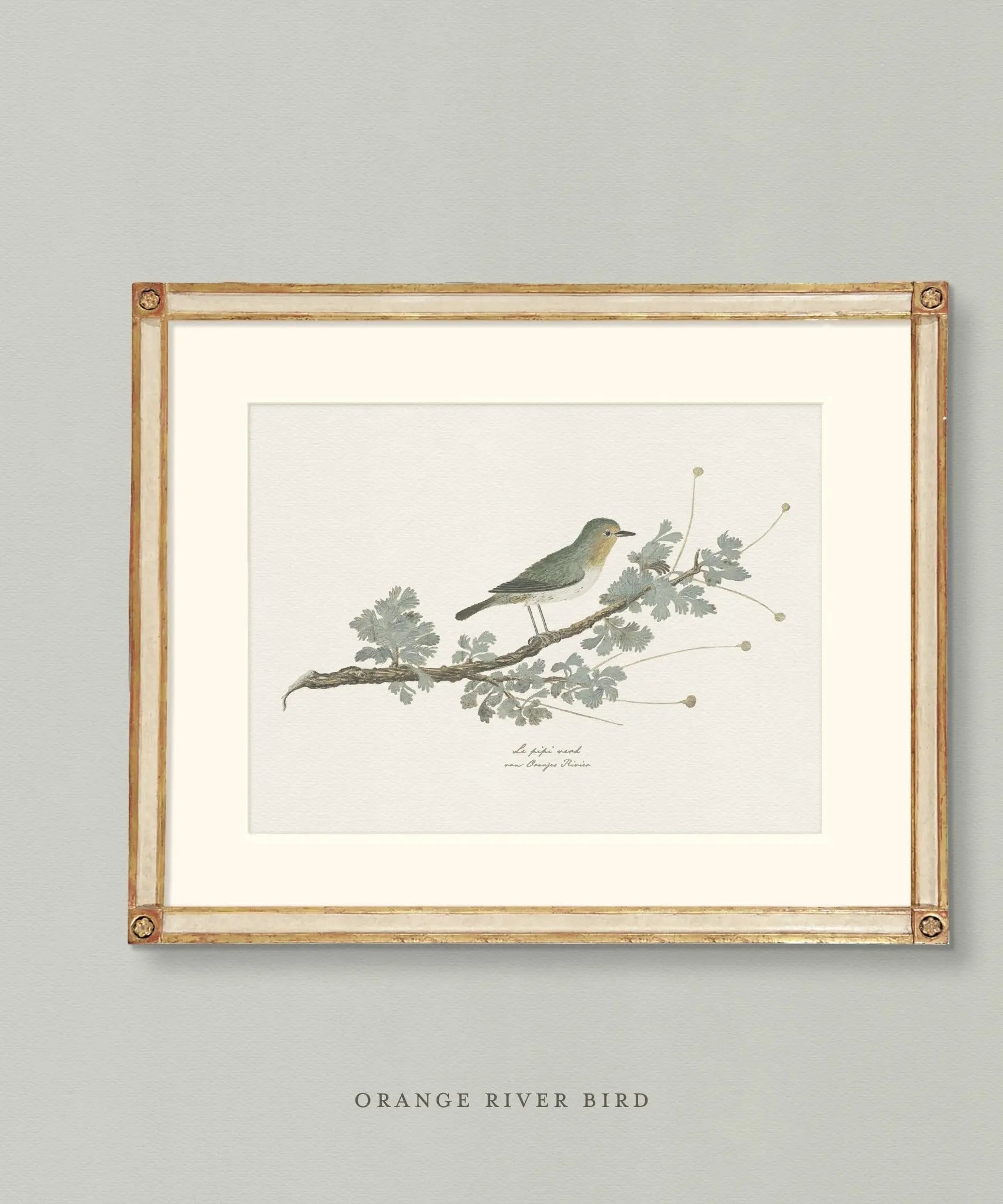 Naturalist Watercolors: Birds + Botanicals - Emblem Atelier