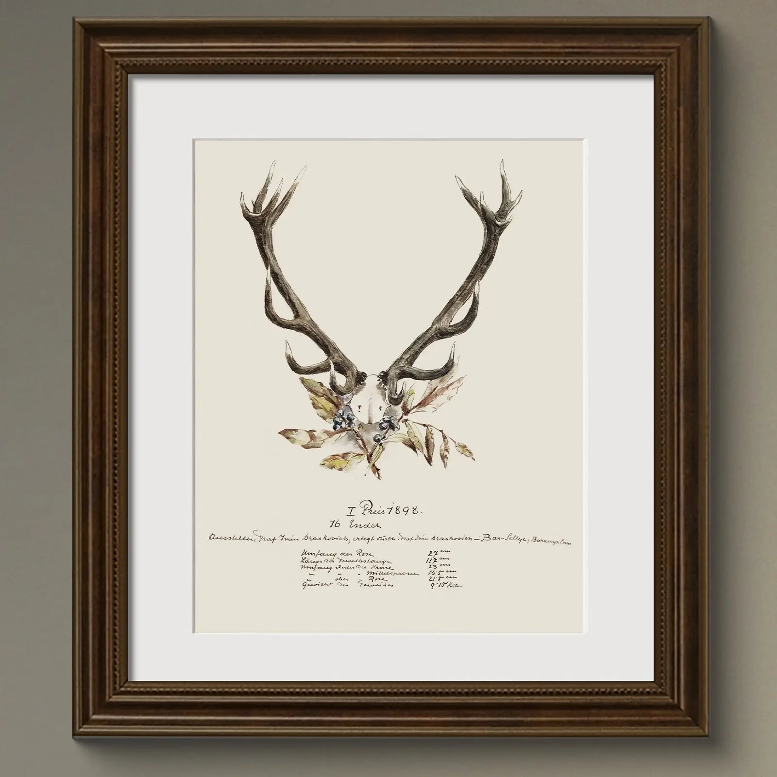 Vintage Naturalist Illustrations: 19th c. Trophy Antlers - Emblem Atelier