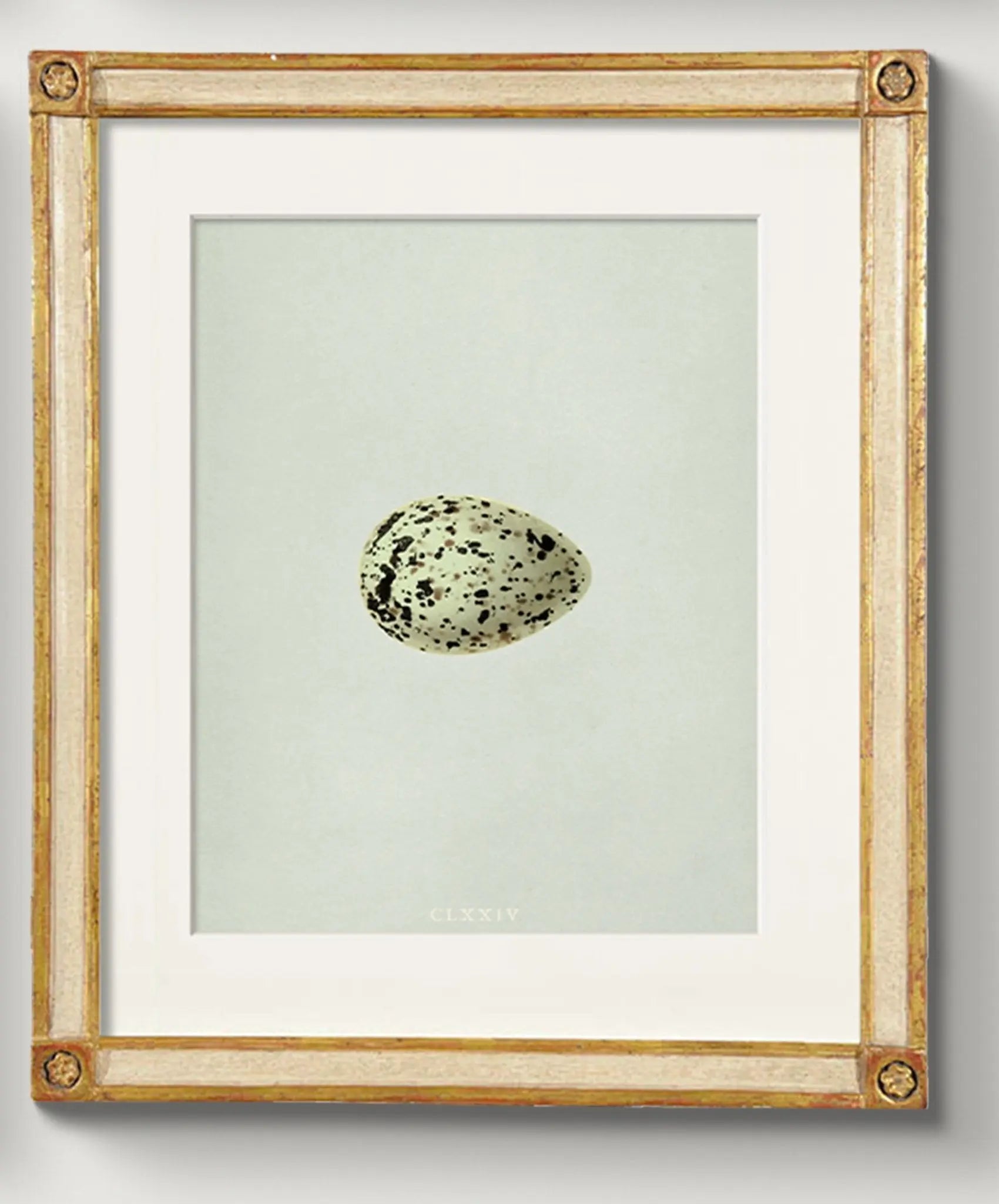 Woodblock Prints: Eggs of British Nesting Birds - Emblem Atelier